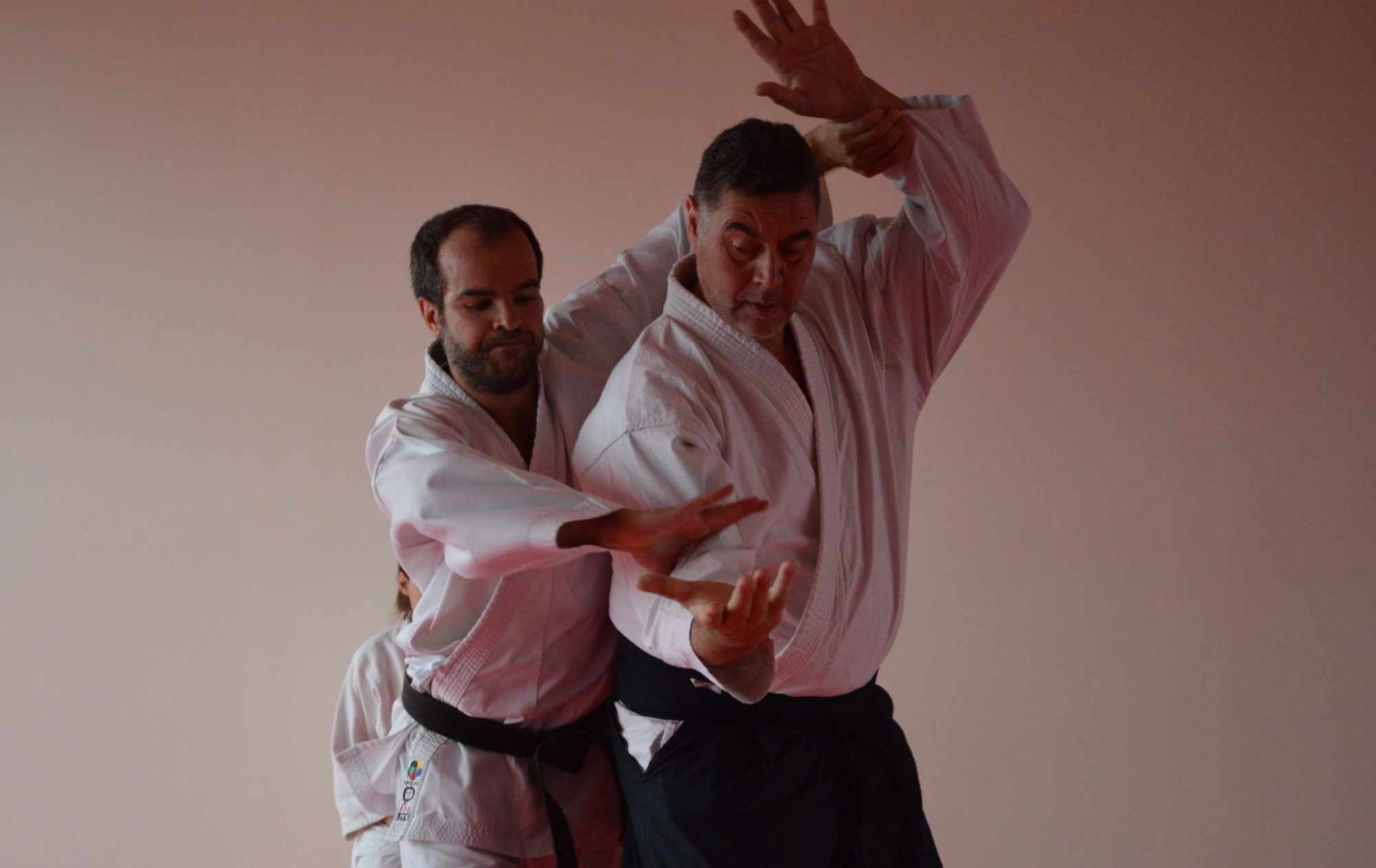 Aikido Parma