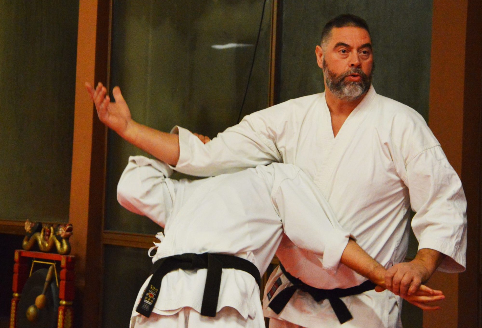 Aikido Parma